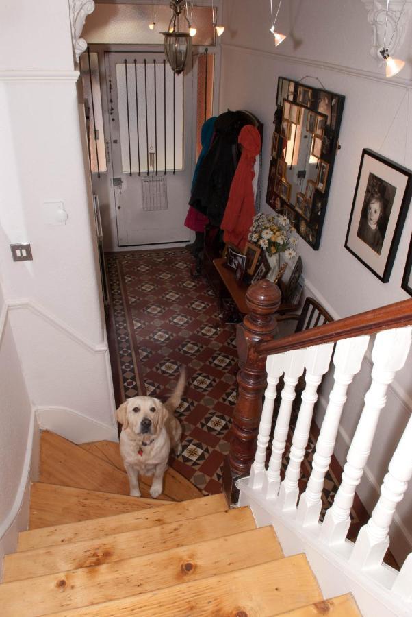 Muswell Hill B&B London Ngoại thất bức ảnh